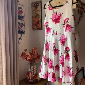 ❄️A&D Fisher Peonies Dress❄️
